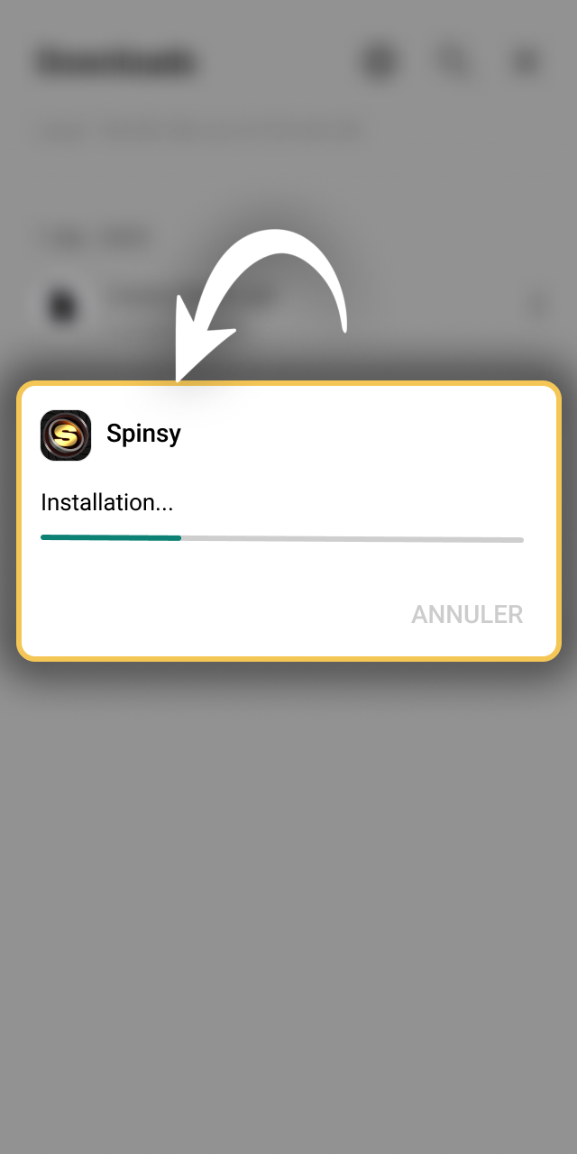 Exécutez le programme d'installation automatique de Spinsy officiel France.