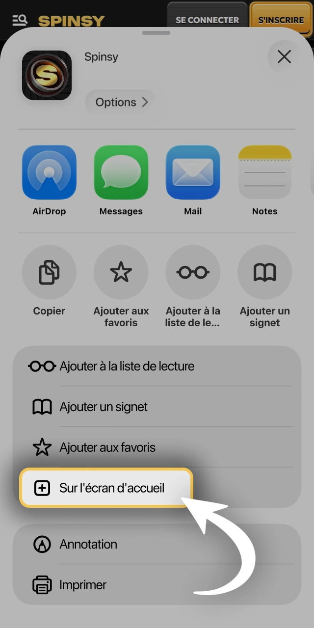 Ajoutez le raccourci vers l'écran d'accueil de Spinsy.
