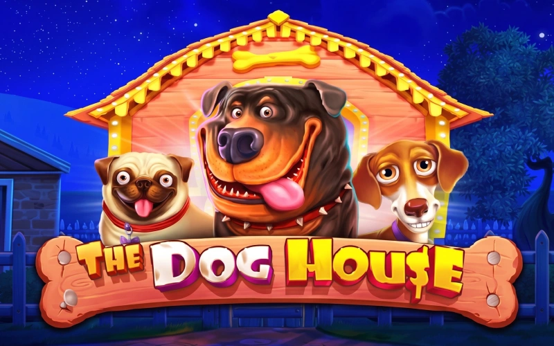 Lancez le tour bonus de la machine Dog House Spinsy.