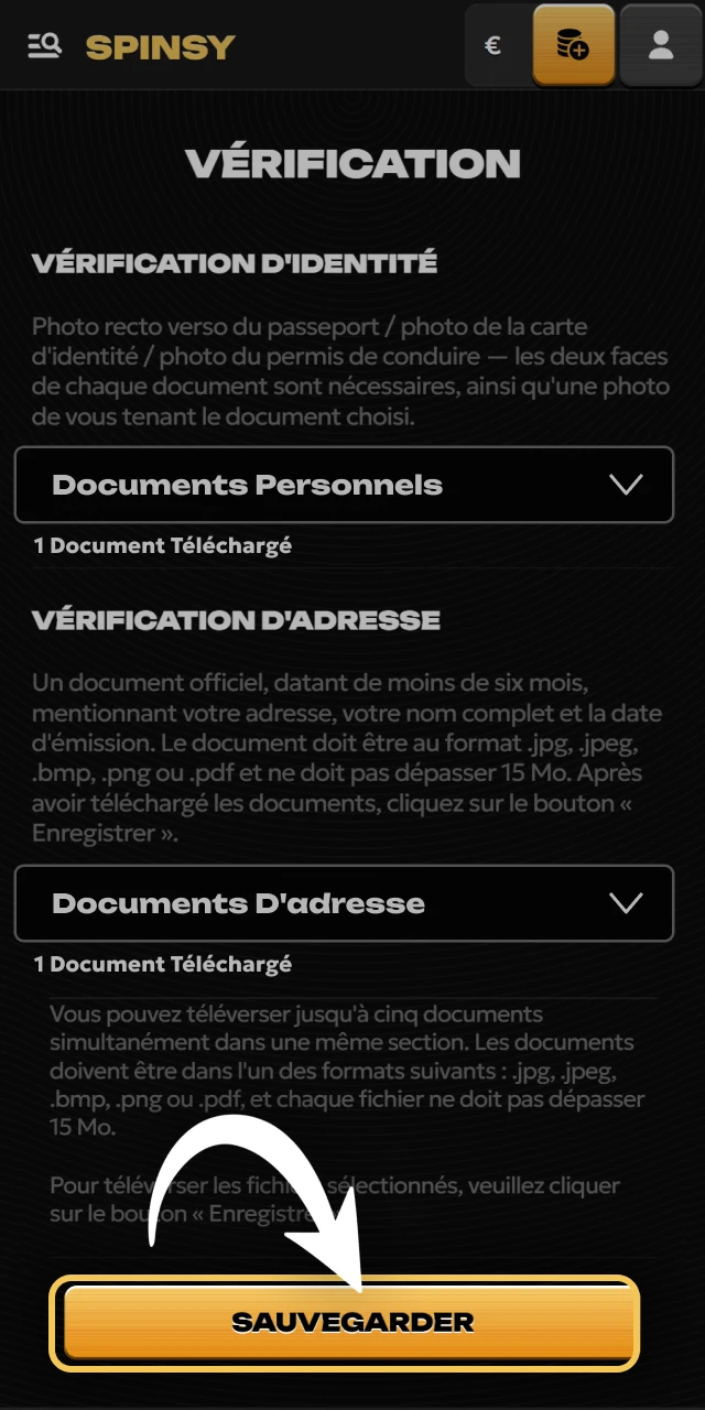 Patientez durant la validation de vos documents sur Spinsy officiel.